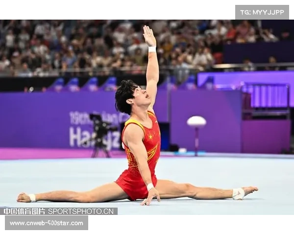 国际顶尖选手激烈对决展现顽强拼搏与不屈体育精神的巅峰对抗